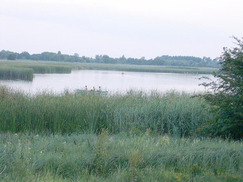 szate (173).jpg